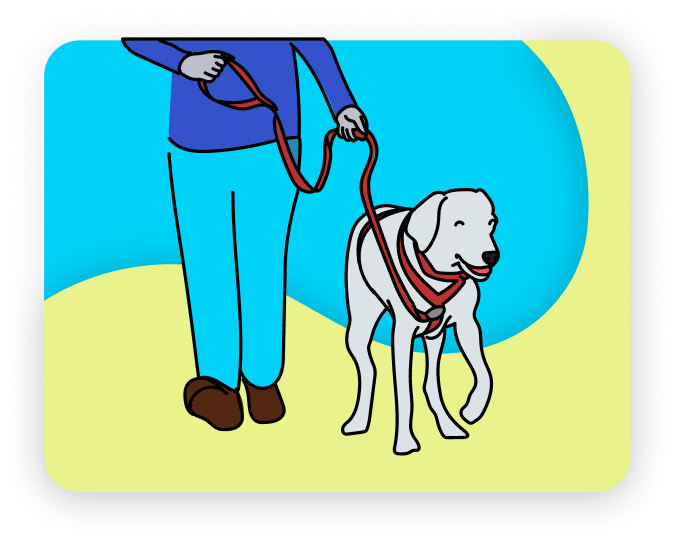 Person walking dog illustration