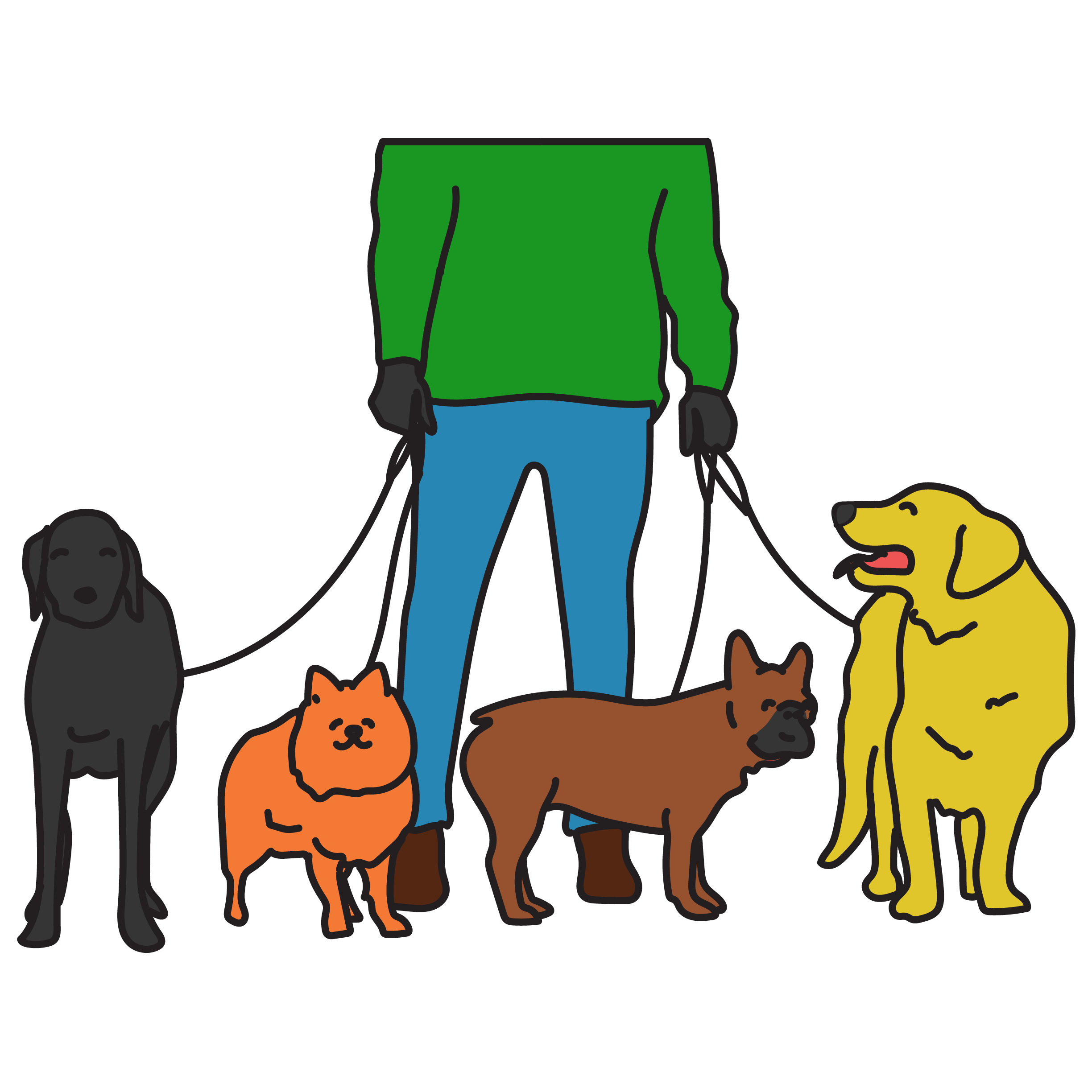 Fido Group®